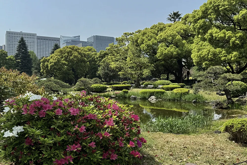 写真：日比谷公園