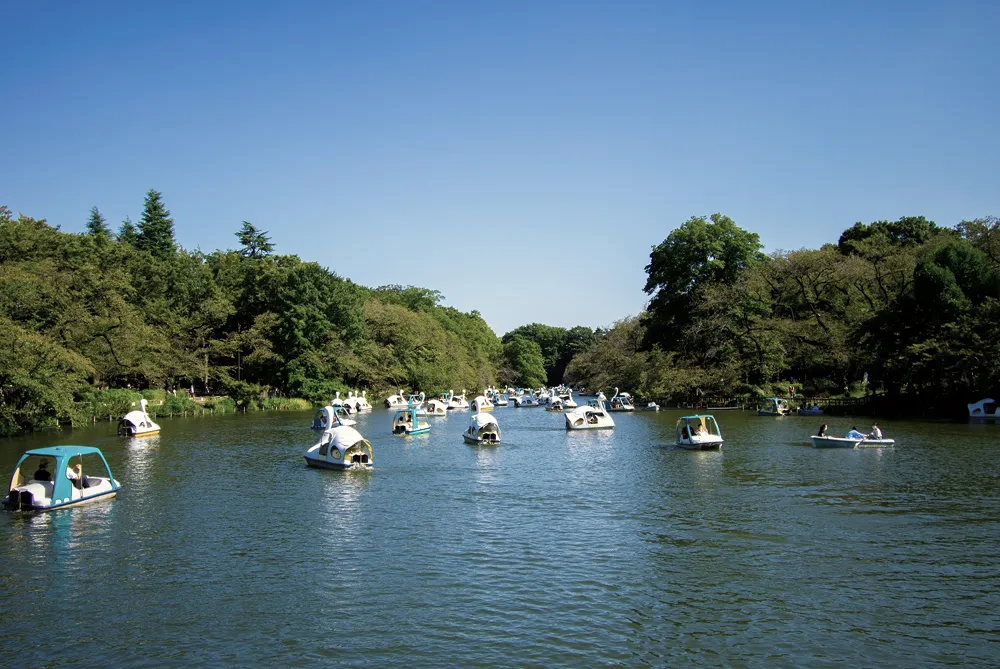 写真：井の頭恩賜公園