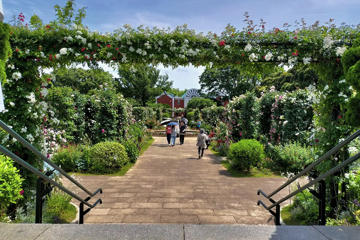 写真:港の見える丘公園