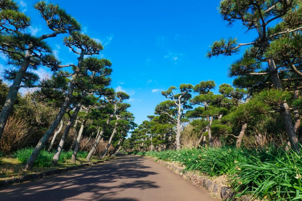 城ヶ島公園
